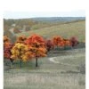 Woodland Scenics TR1575 ¾"-2" Ready Made Fall Colours Deciduous Value Pack (38/Pk)
